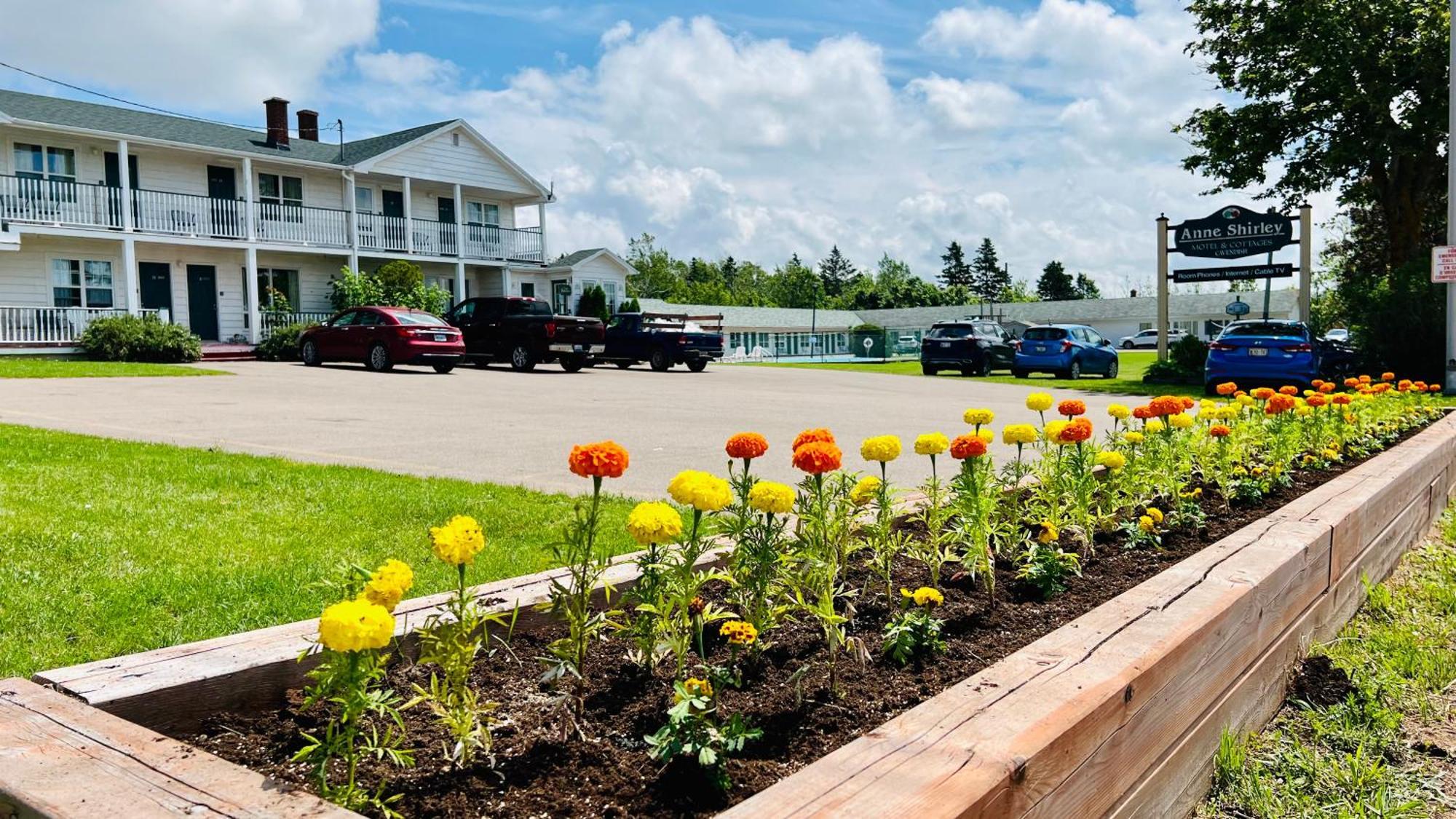 Anne Shirley Motel & Cottages Cavendish Exteriér fotografie